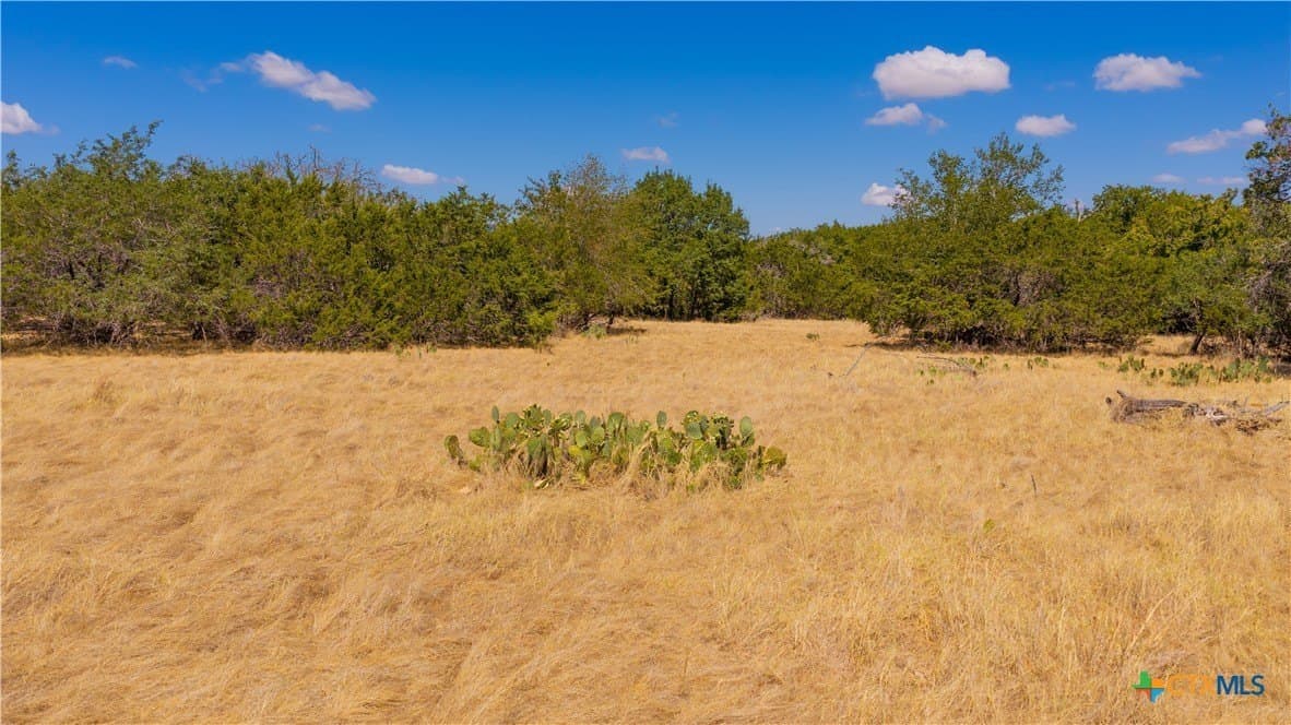 22.04 acres in Lampasas County - photo 3