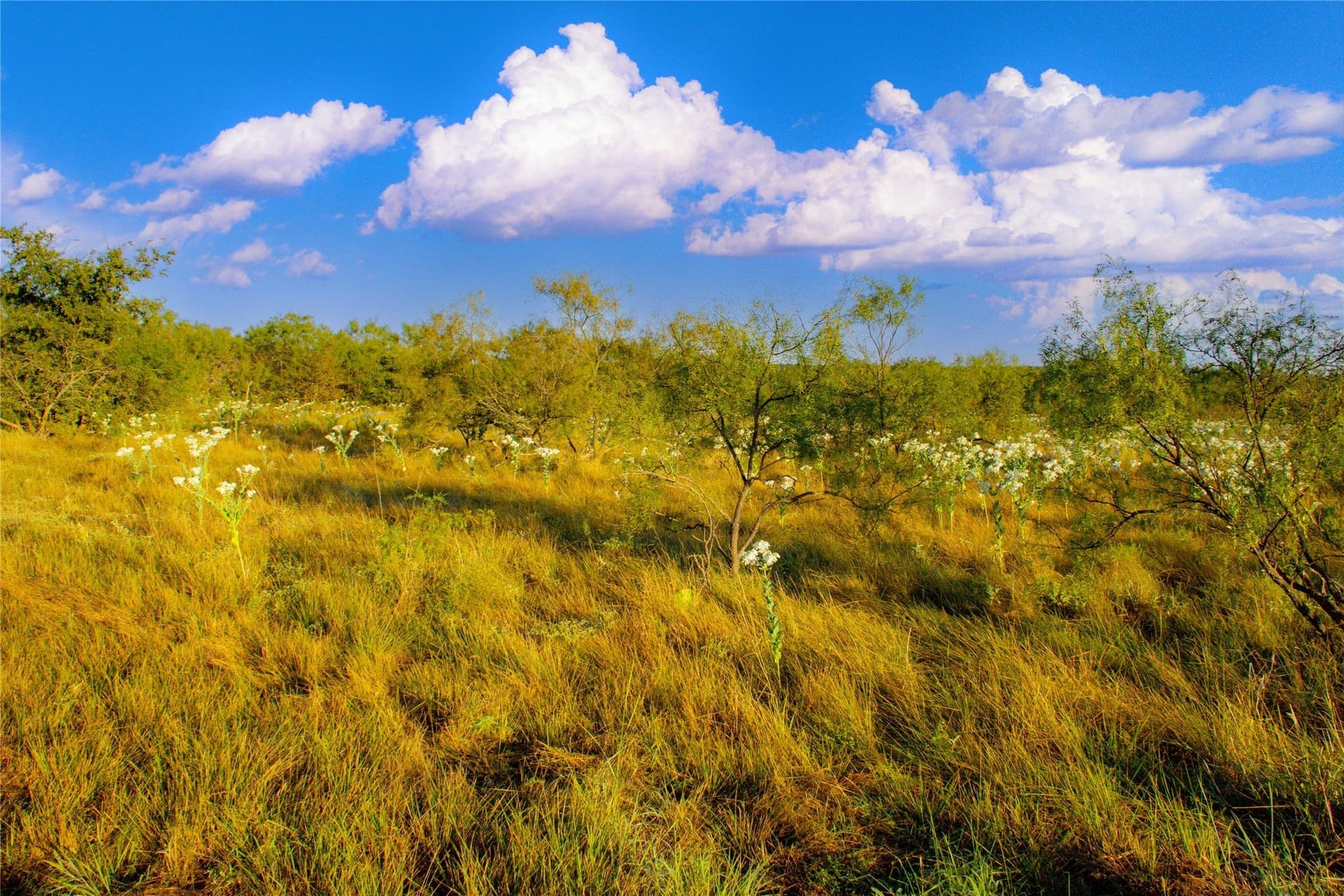 31.83 acres in Palo Pinto County - photo 2
