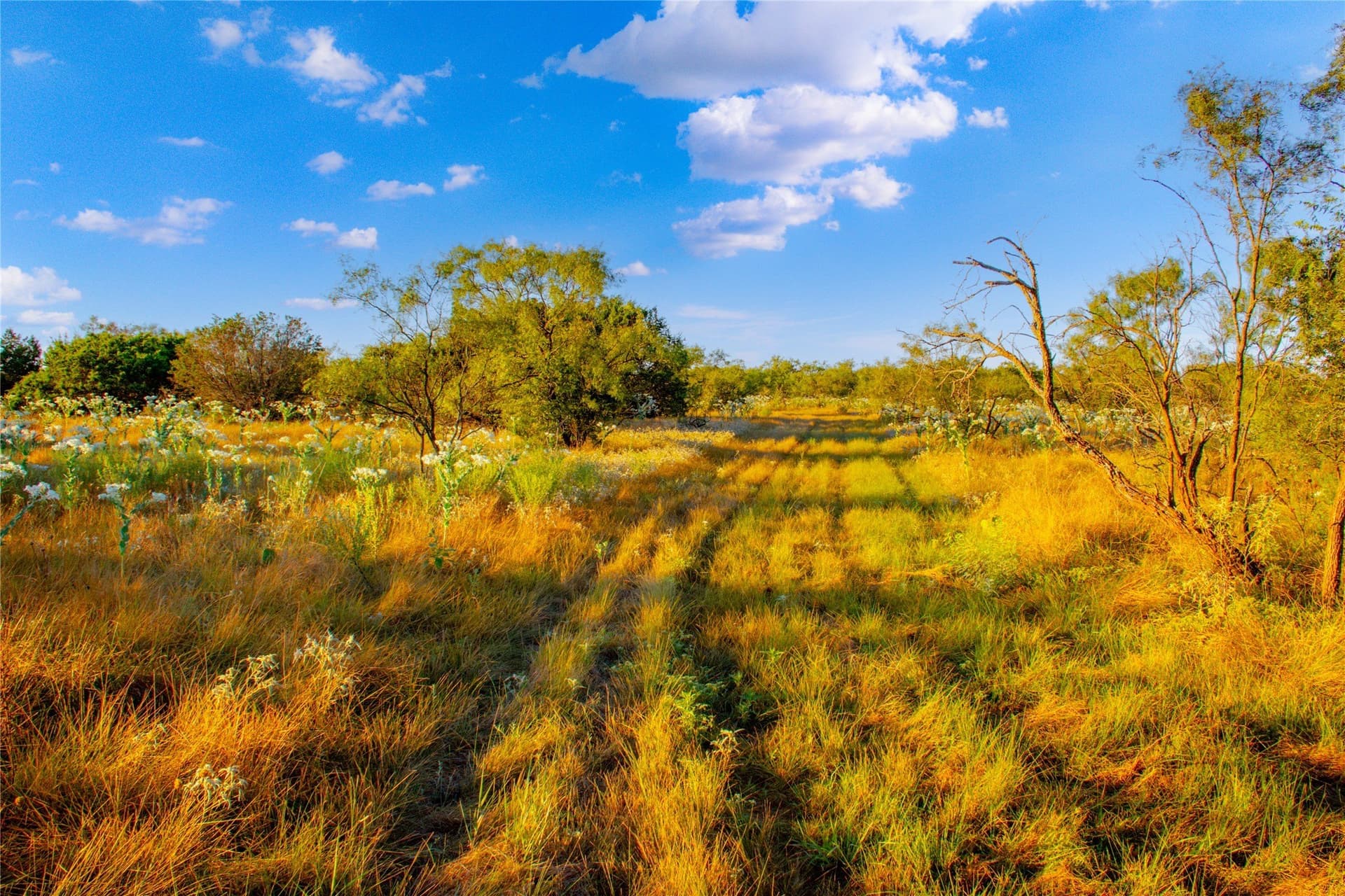 31.83 acres in Palo Pinto County - photo 3