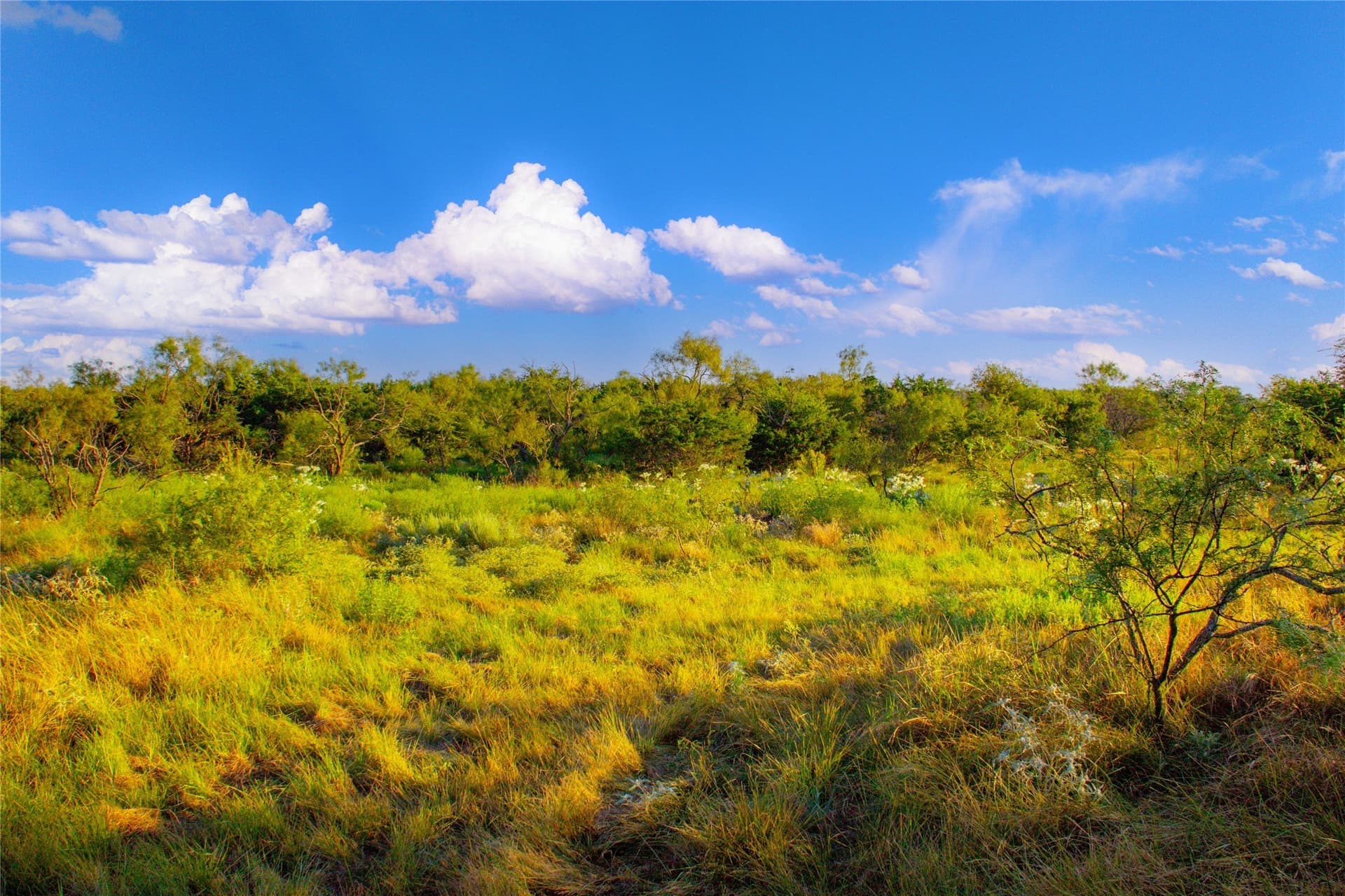 31.83 acres in Palo Pinto County