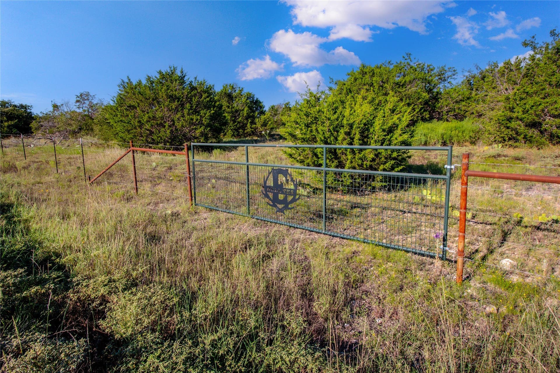 31.83 acres in Palo Pinto County - photo 6