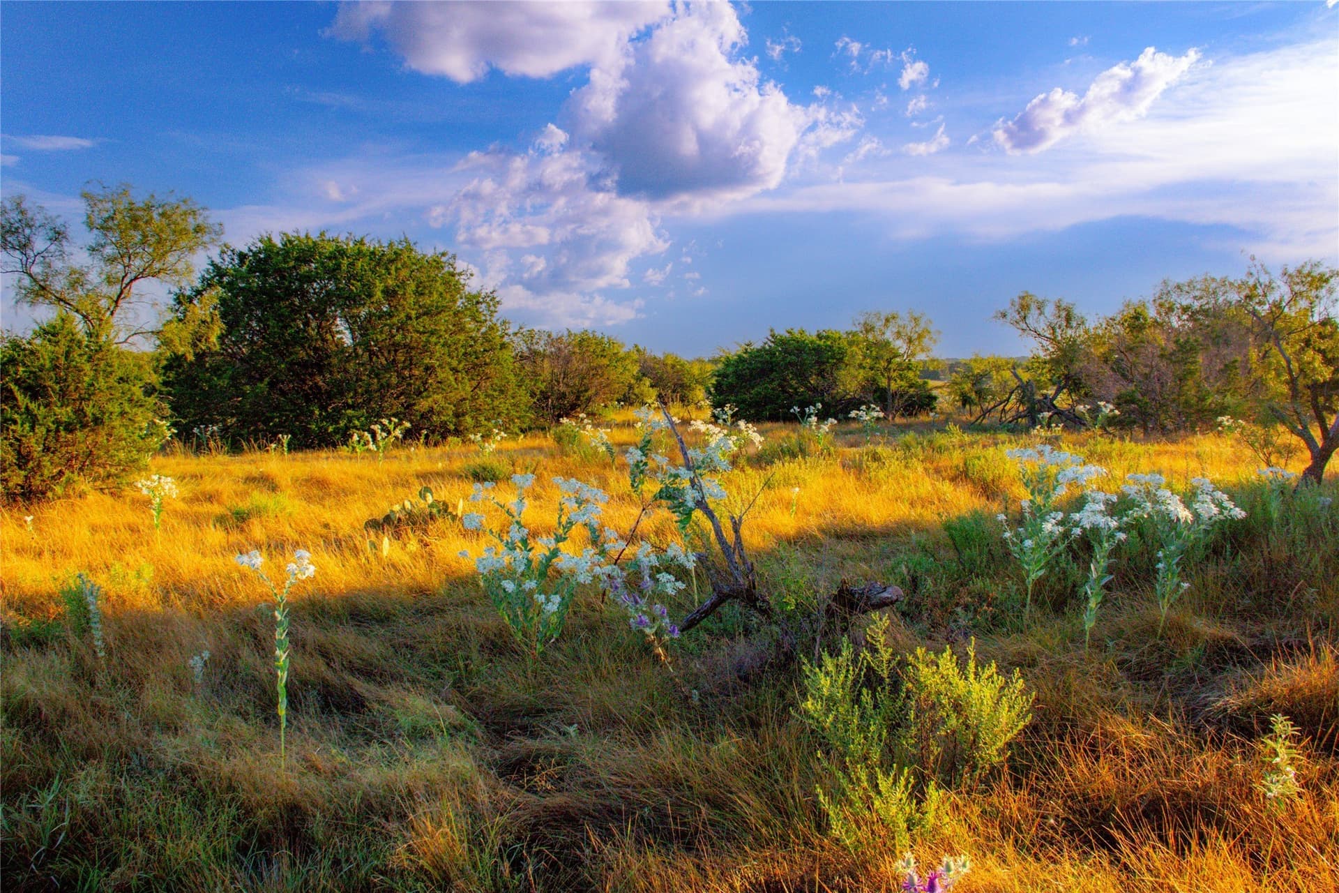 31.83 acres in Palo Pinto County - photo 4