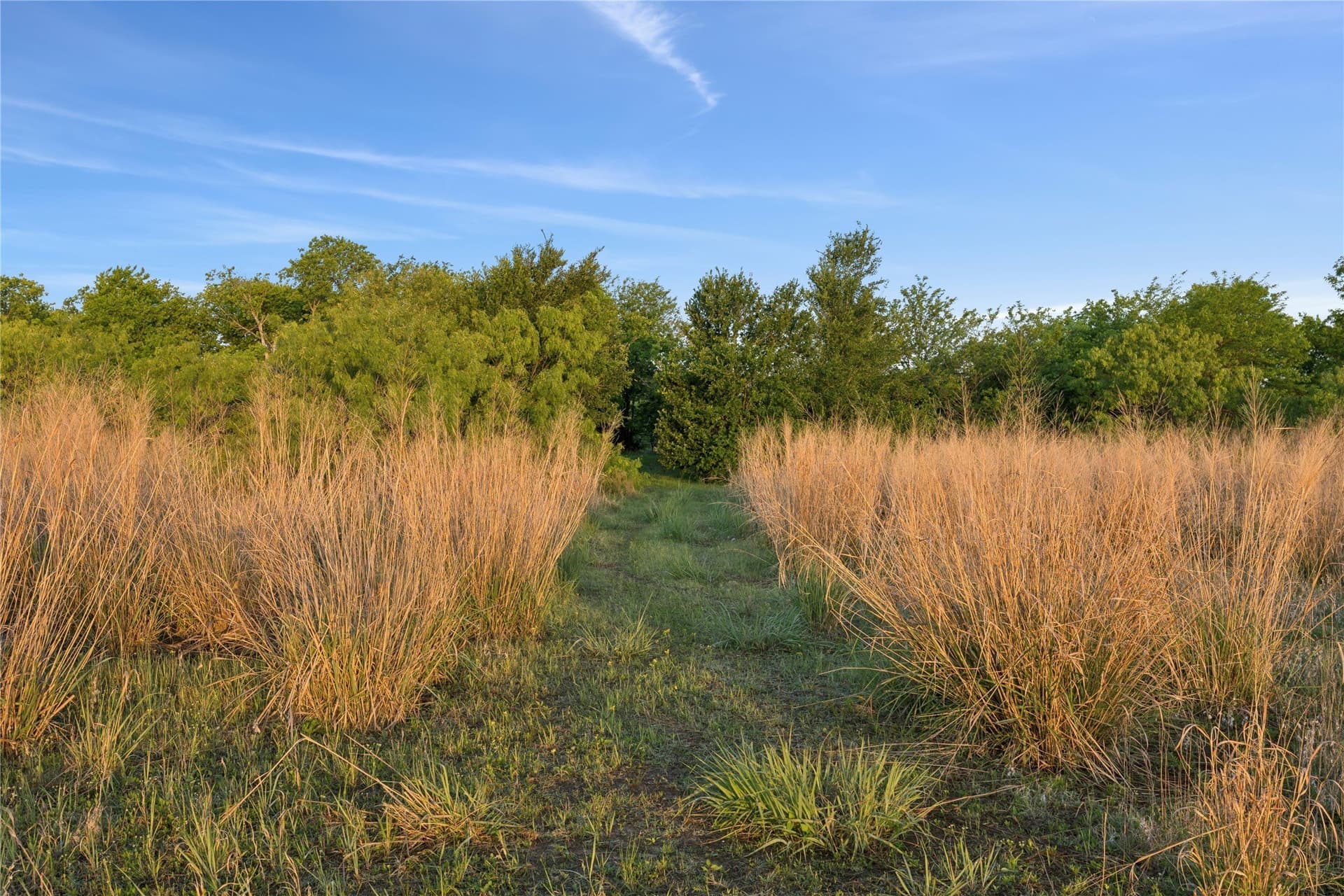 2 acres in Denton County - photo 8