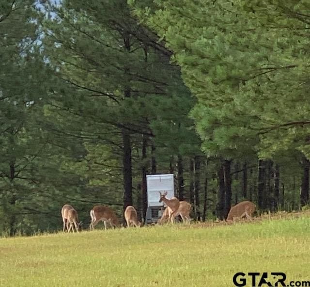 40.65 acres in Smith County - photo 33