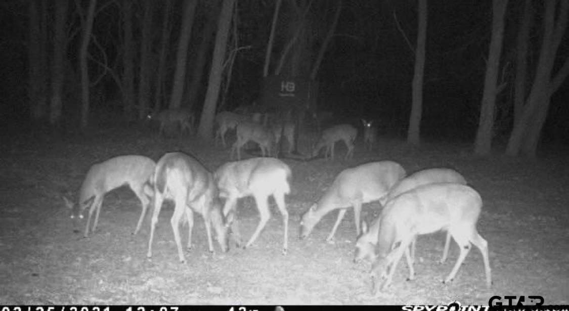 40.65 acres in Smith County - photo 34