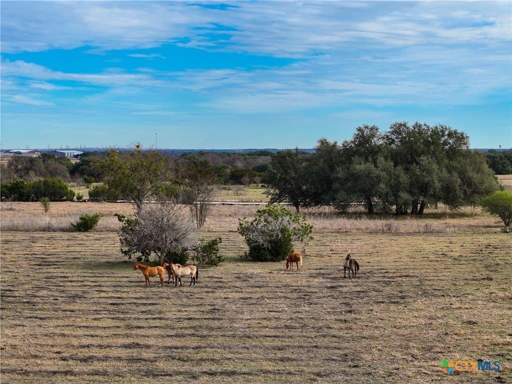 10.26 acres in Bell County - photo 12