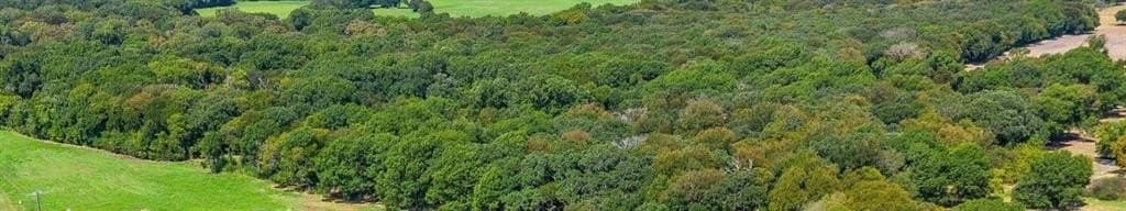 11 acres in Johnson County gallery image 4