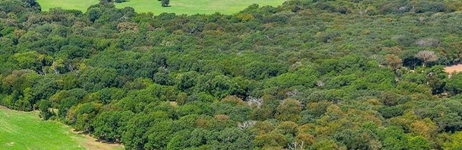 11 acres in Johnson County featured view