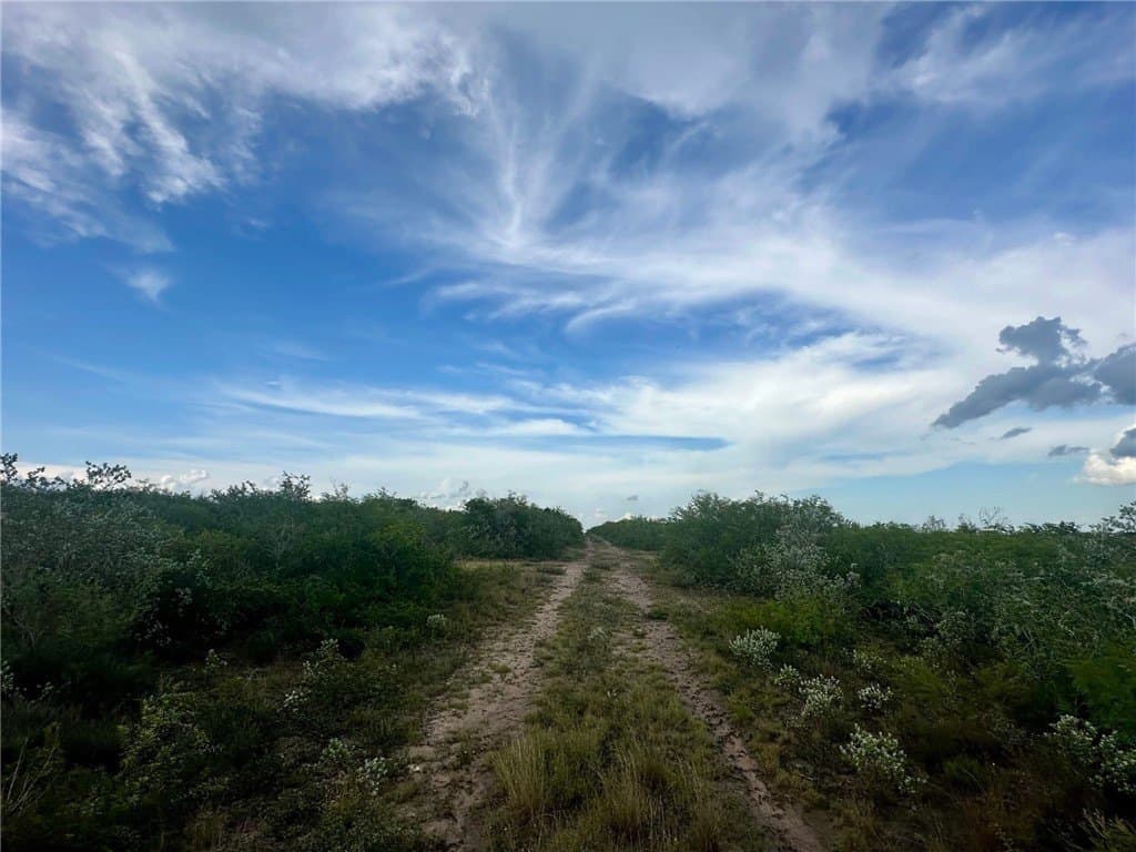 10.38 acres in Live Oak County featured view