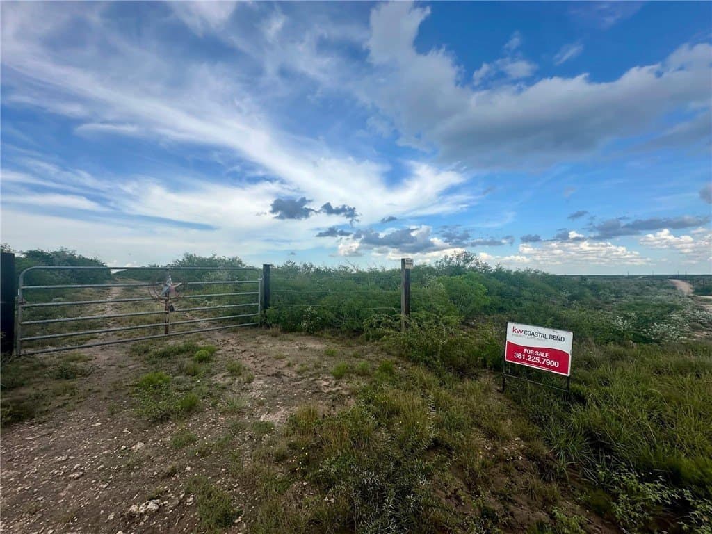 10.38 acres in Live Oak County gallery image 4