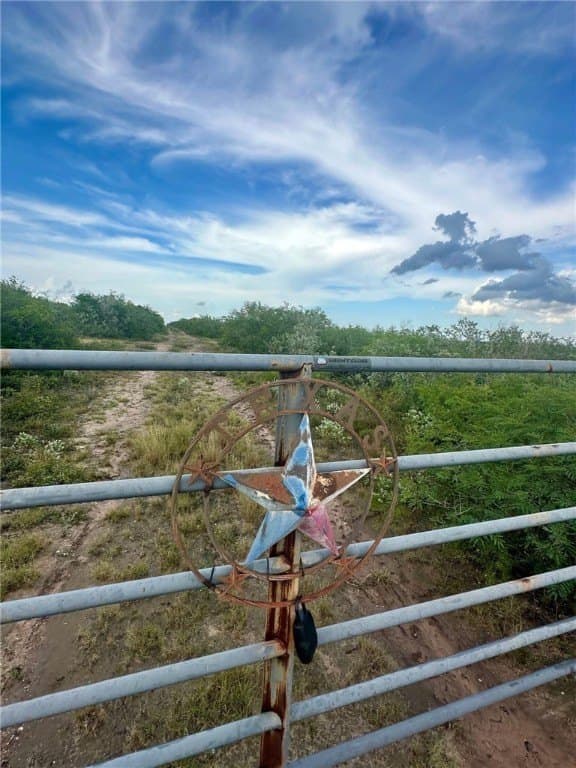 10.38 acres in Live Oak County gallery image 2