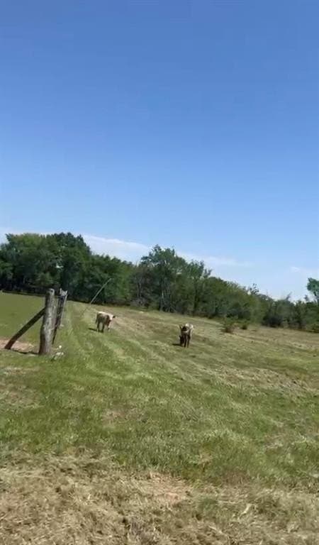 5.65 acres in Van Zandt County featured view