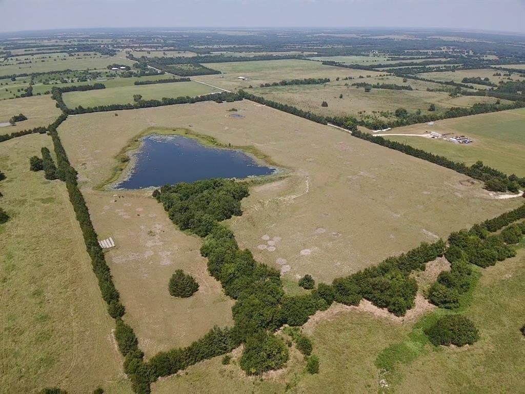 97.92 acres in Lamar County gallery image 4