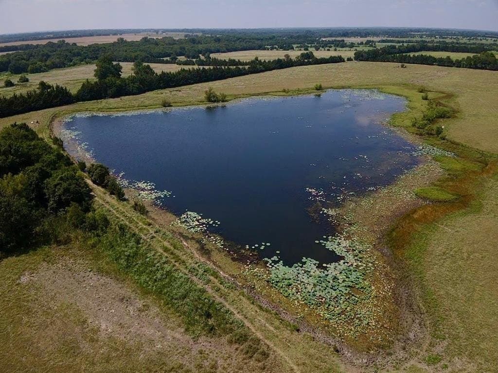 97.92 acres in Lamar County gallery image 2