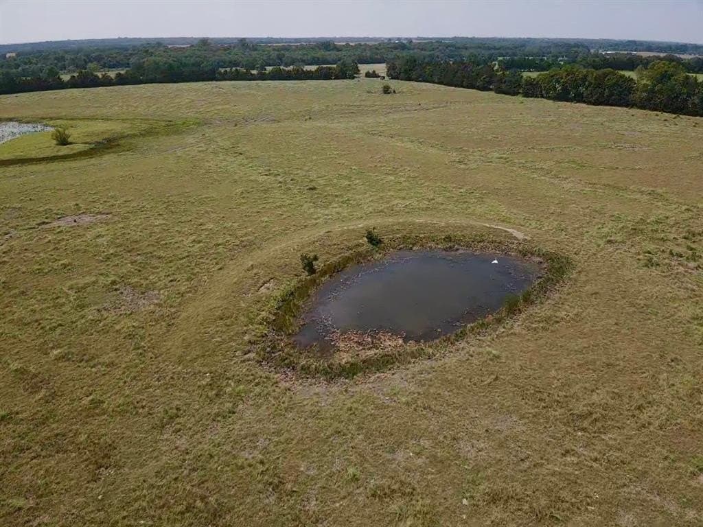 97.92 acres in Lamar County gallery image 3