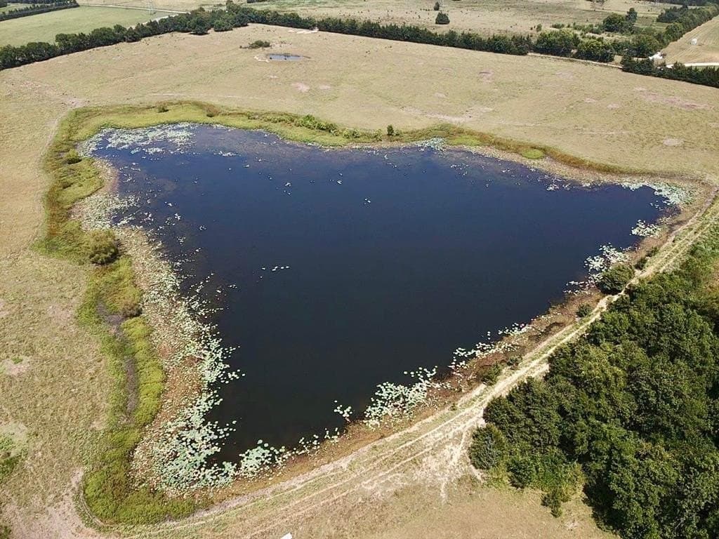 97.92 acres in Lamar County featured view