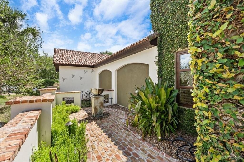 10 acres in Hidalgo County gallery image 3