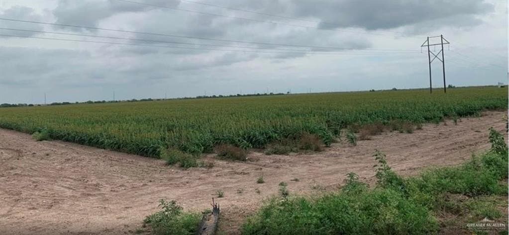20 acres in Hidalgo County gallery image 3