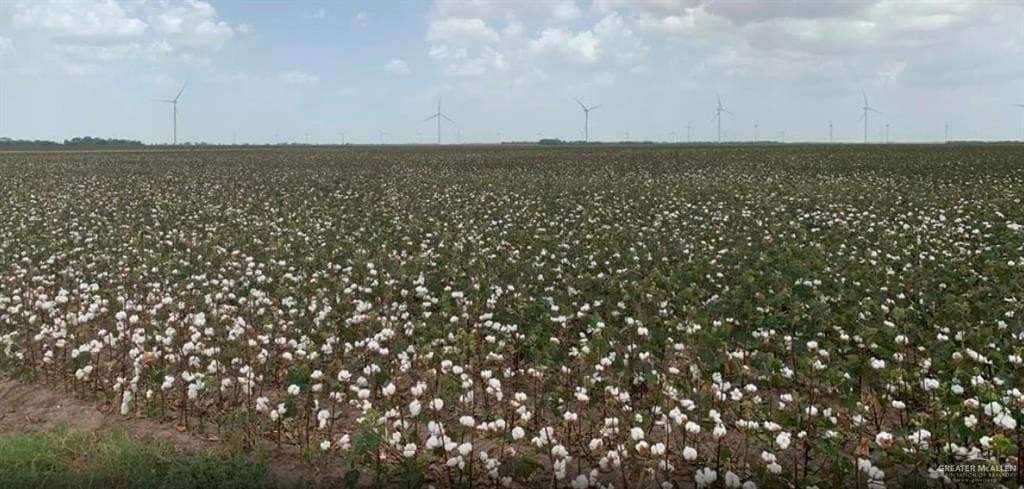 20 acres in Hidalgo County gallery image 2