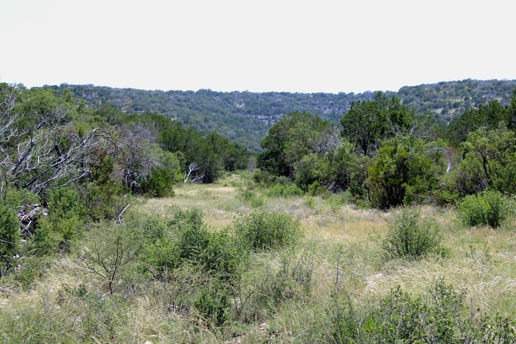 140.34 acres in Val Verde County - photo 42