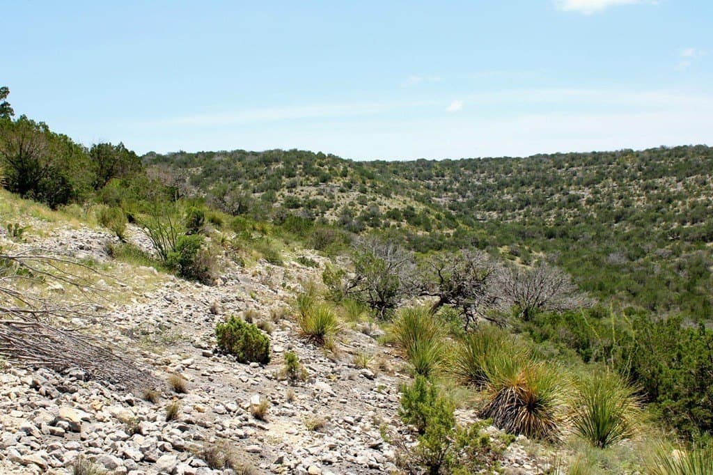 140.34 acres in Val Verde County - photo 17
