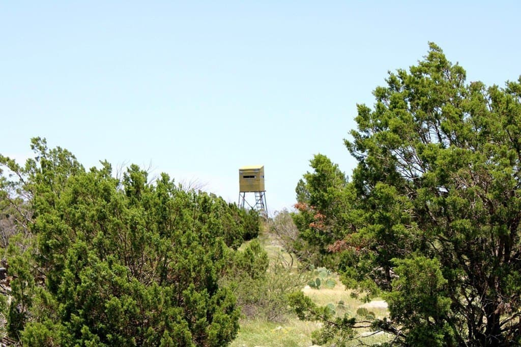 140.34 acres in Val Verde County - photo 21