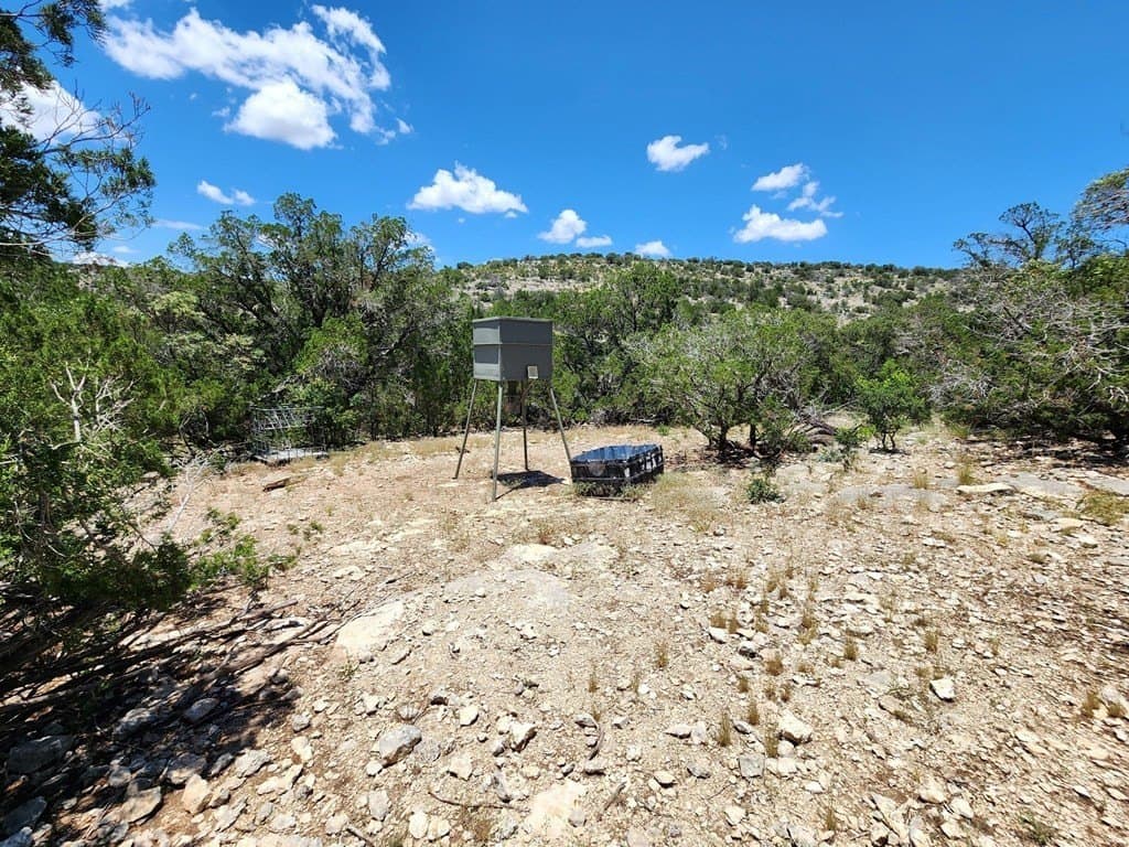 140.34 acres in Val Verde County - photo 34