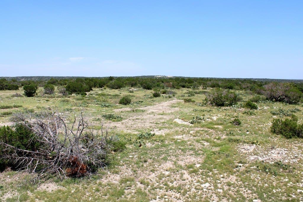 140.34 acres in Val Verde County - photo 29