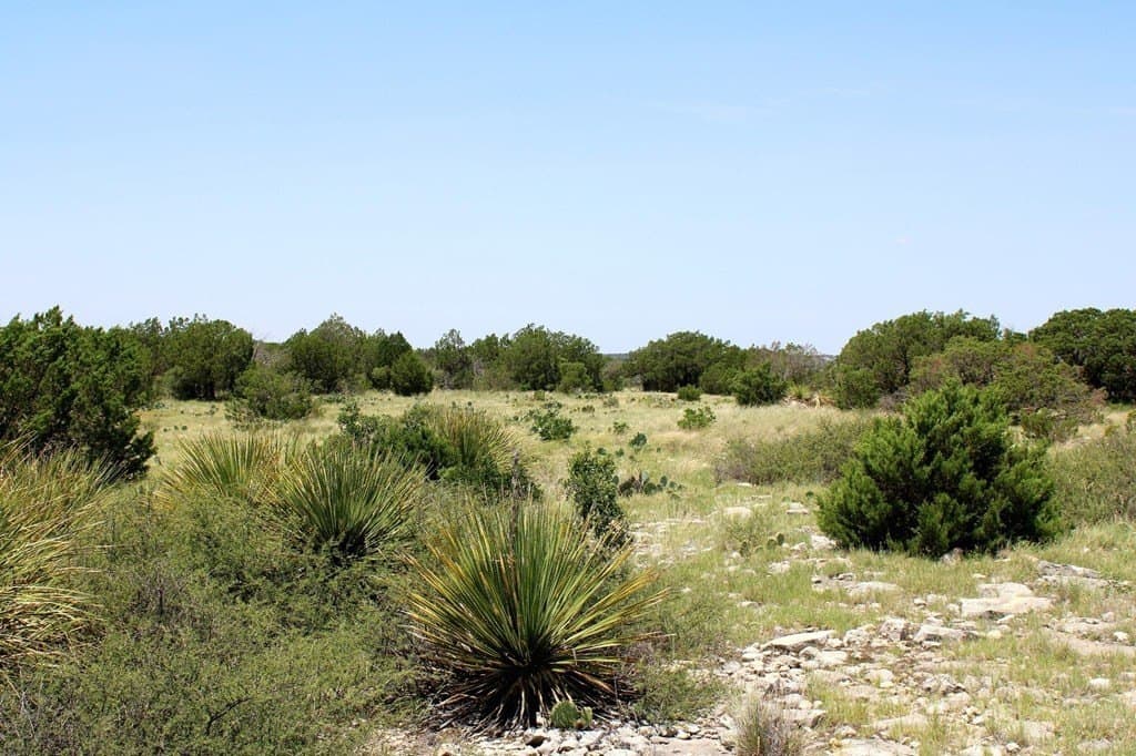 140.34 acres in Val Verde County - photo 26
