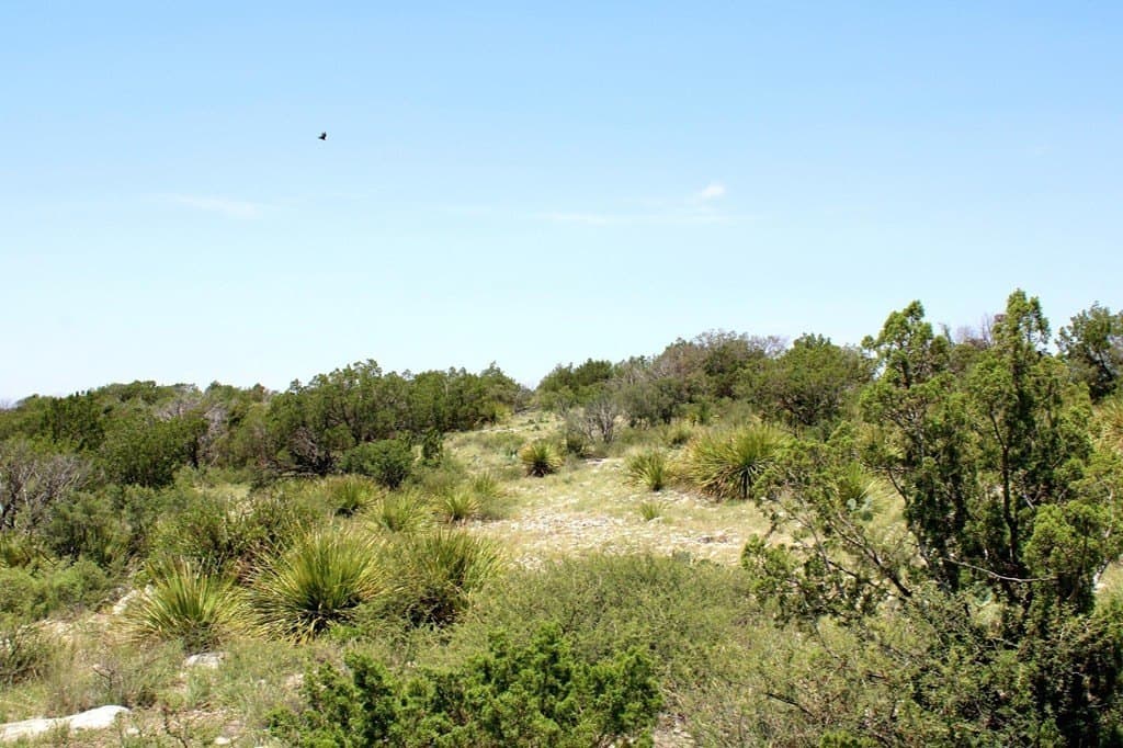 140.34 acres in Val Verde County - photo 20