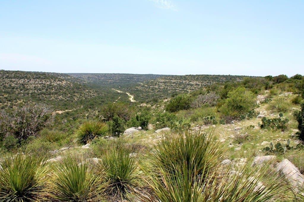 140.34 acres in Val Verde County - photo 30