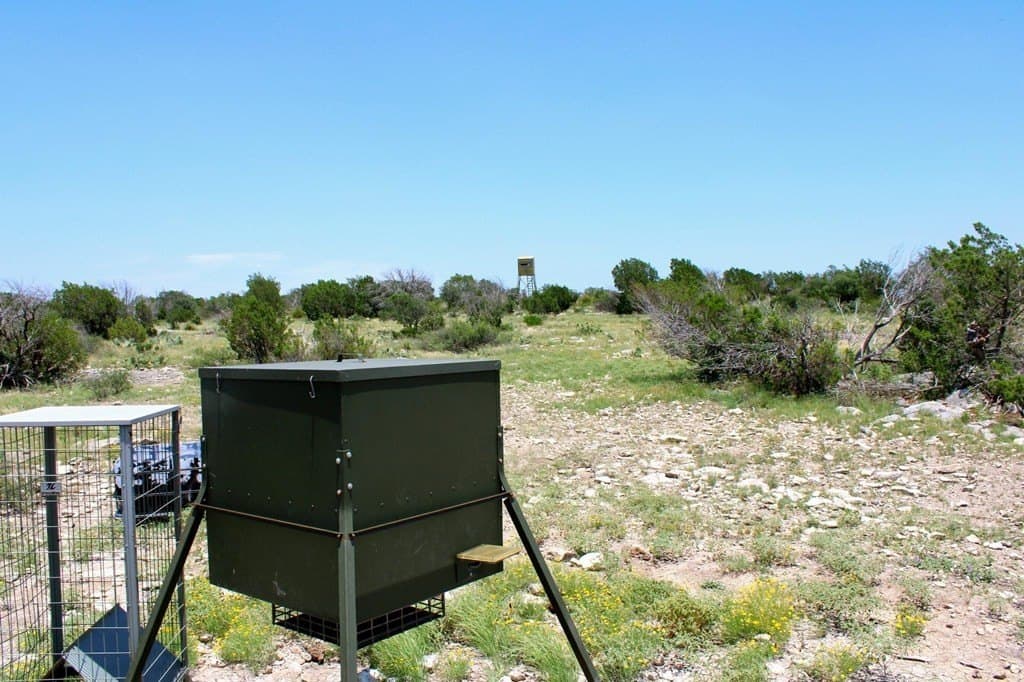 140.34 acres in Val Verde County - photo 24