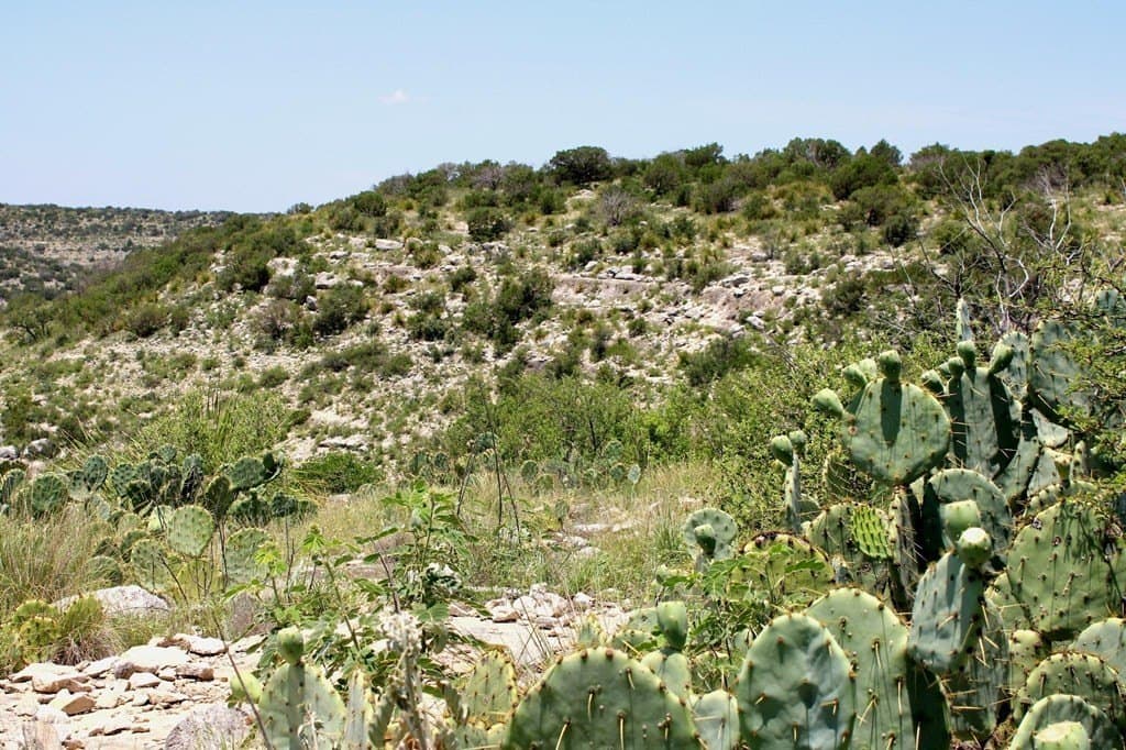 140.34 acres in Val Verde County - photo 18