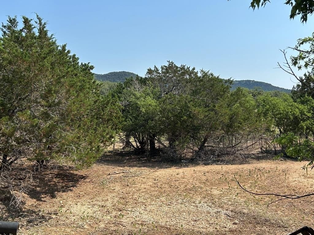 3.35 acres in Bandera County gallery image 2