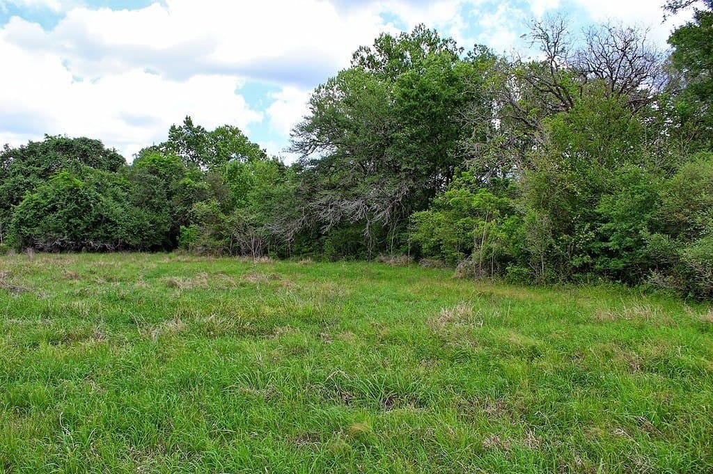 63.52 acres in Colorado County - photo 25