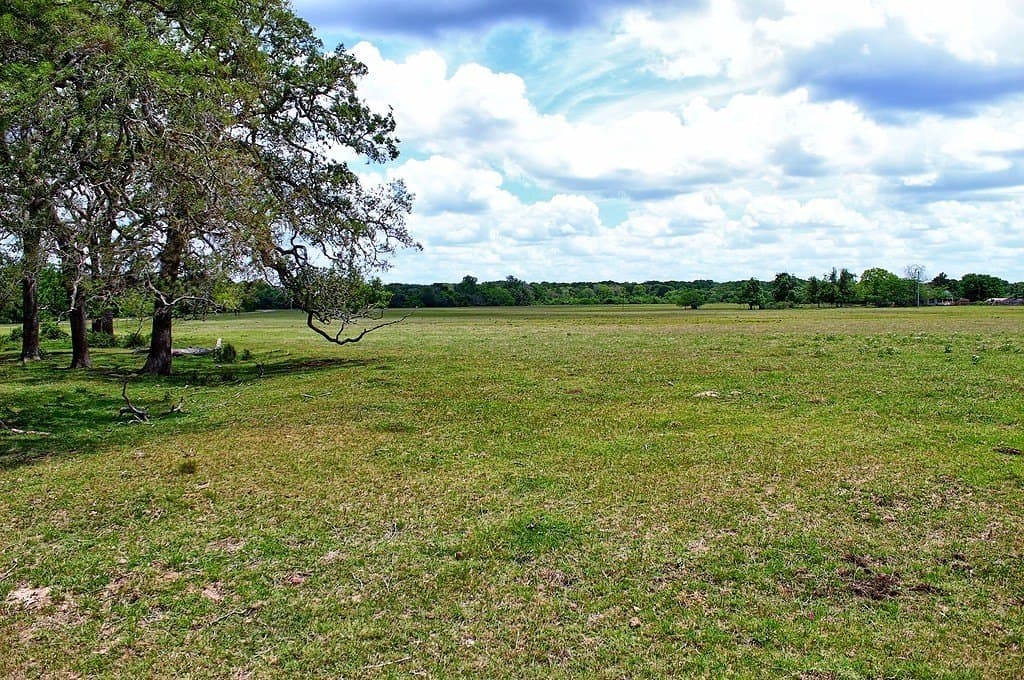 63.52 acres in Colorado County - photo 29