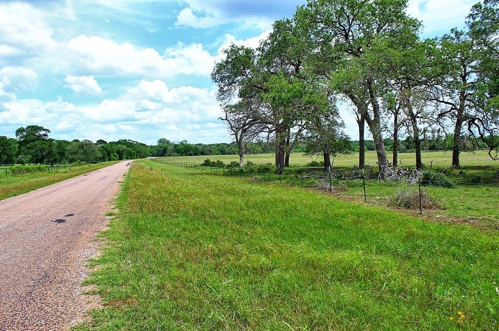 63.52 acres in Colorado County - photo 7