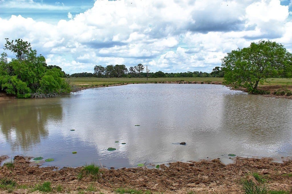 63.52 acres in Colorado County featured view