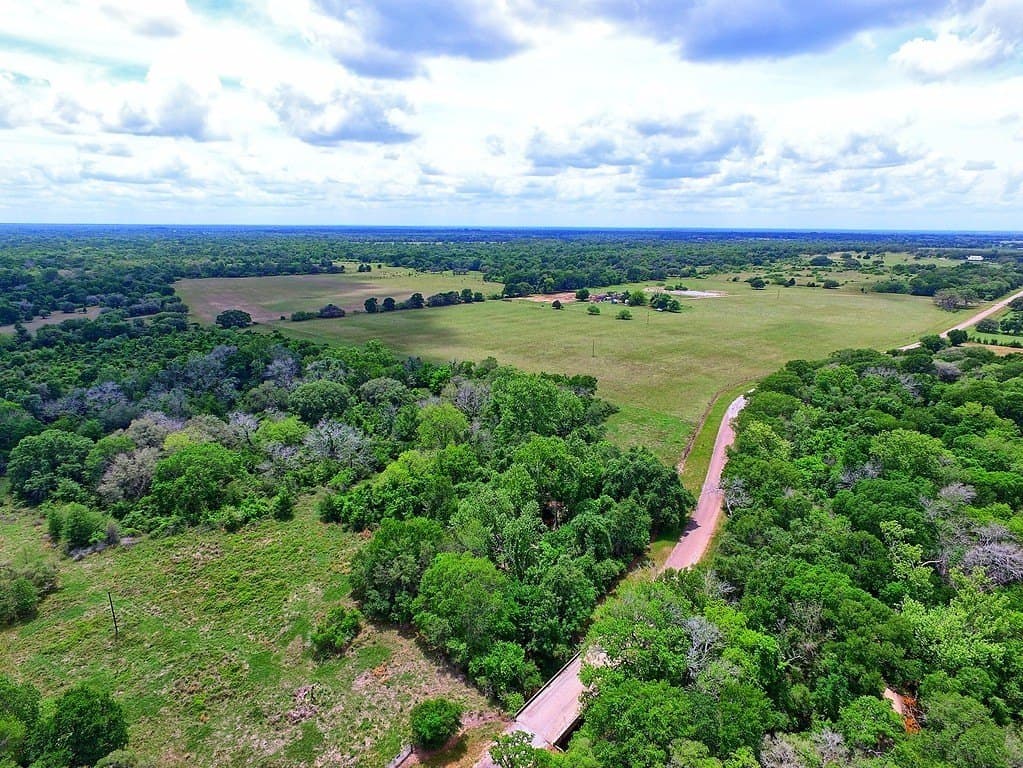 63.52 acres in Colorado County gallery image 4