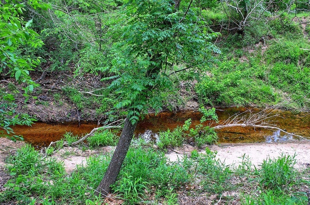 63.52 acres in Colorado County - photo 11