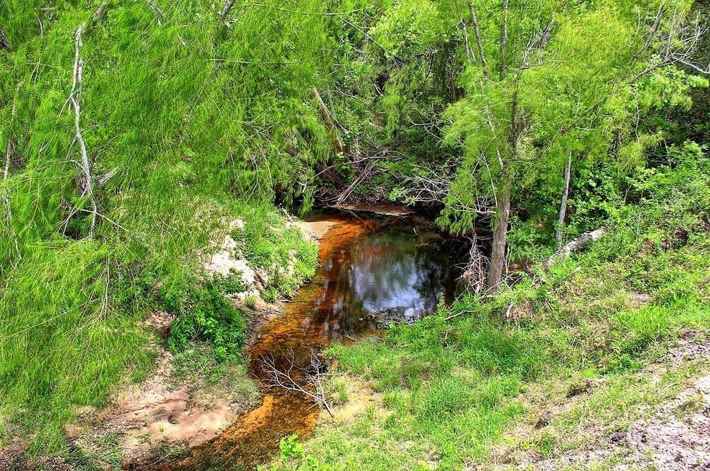 63.52 acres in Colorado County - photo 16