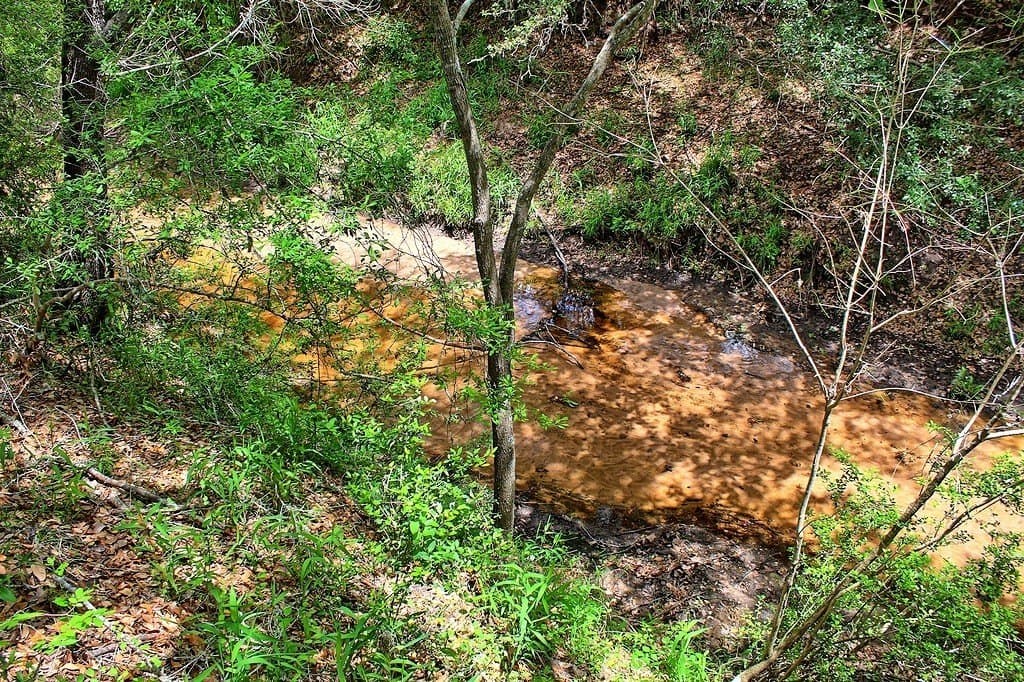 63.52 acres in Colorado County - photo 22