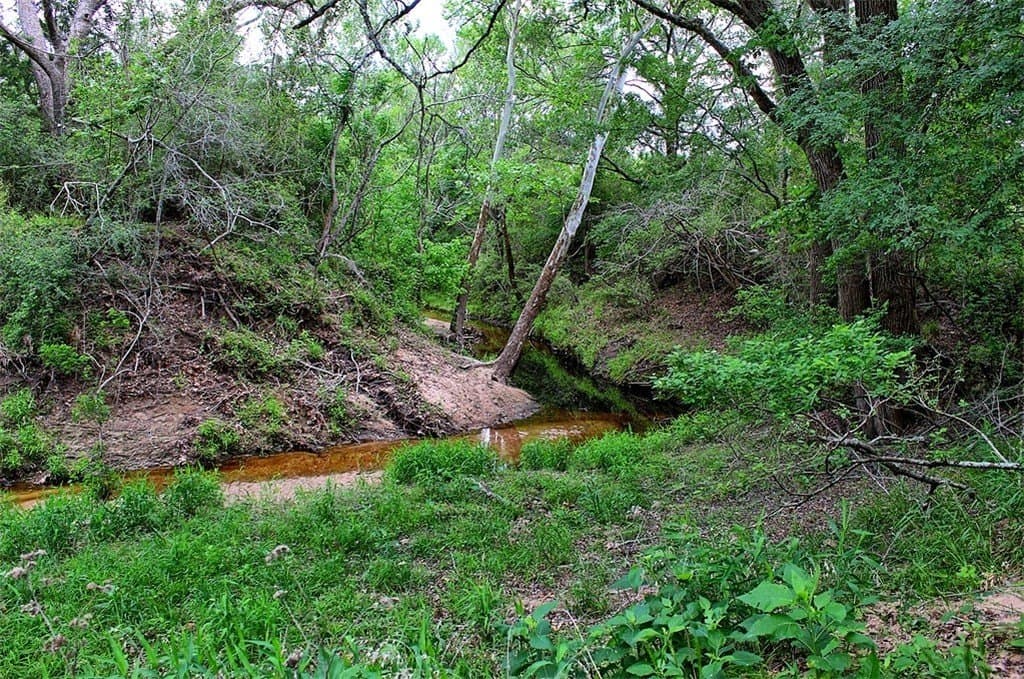 63.52 acres in Colorado County - photo 14
