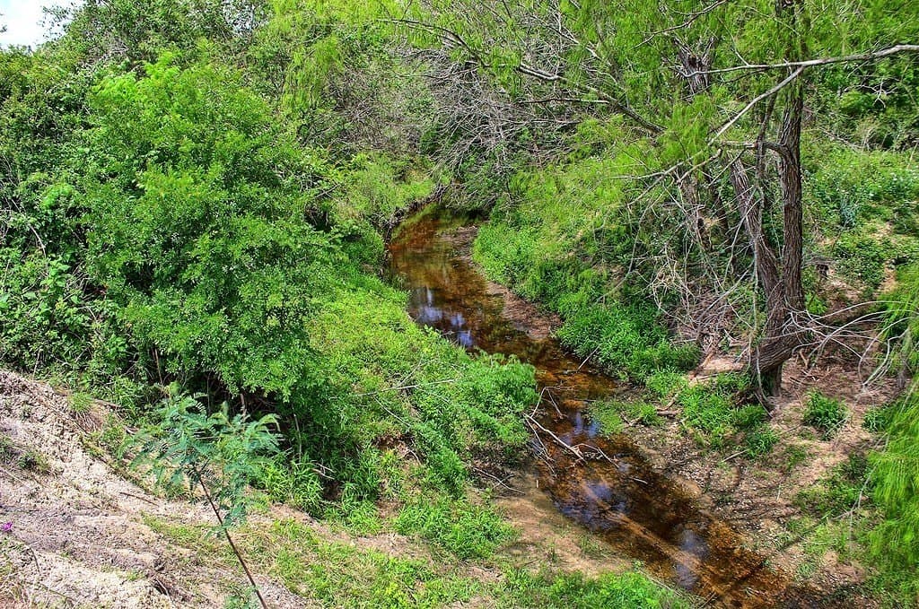 63.52 acres in Colorado County - photo 18