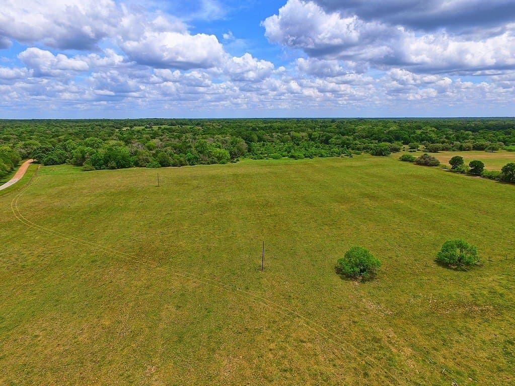 63.52 acres in Colorado County - photo 10
