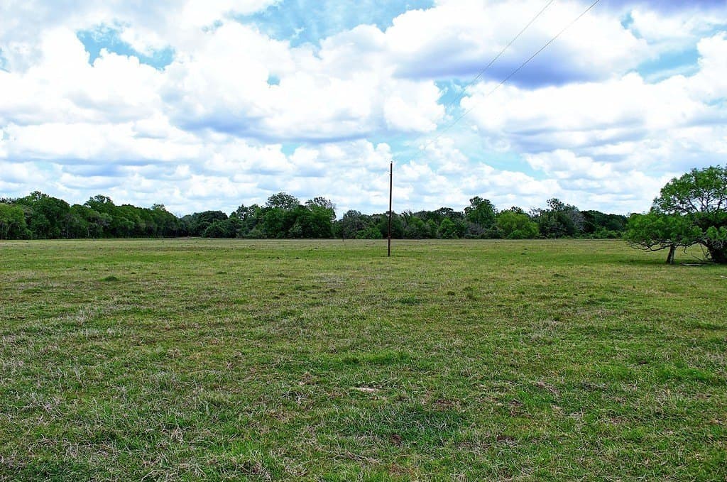 63.52 acres in Colorado County - photo 9