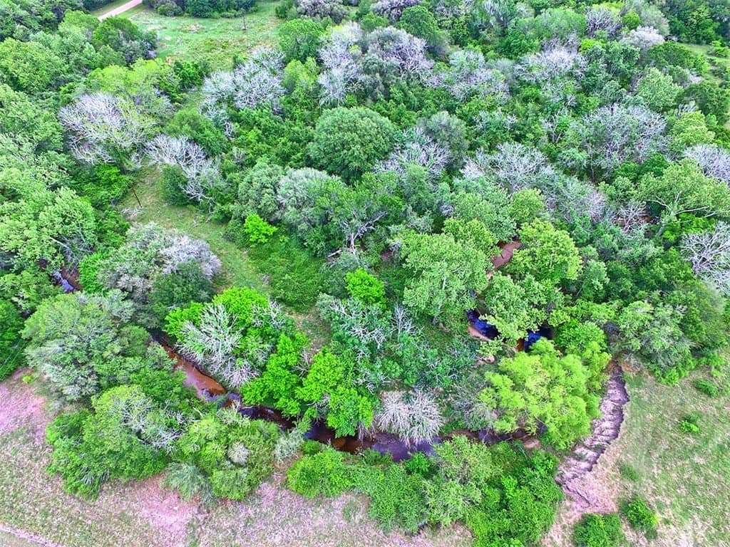 63.52 acres in Colorado County gallery image 2