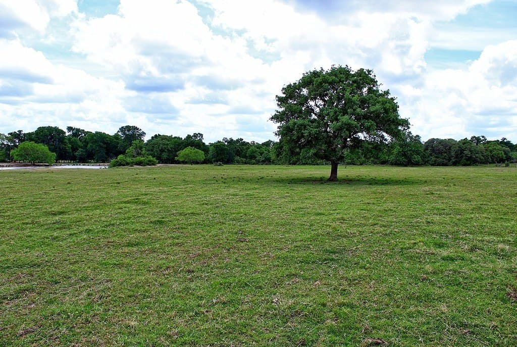 63.52 acres in Colorado County - photo 26