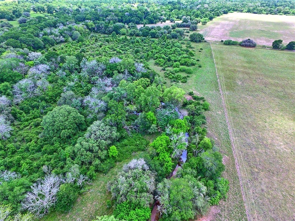 63.52 acres in Colorado County - photo 12