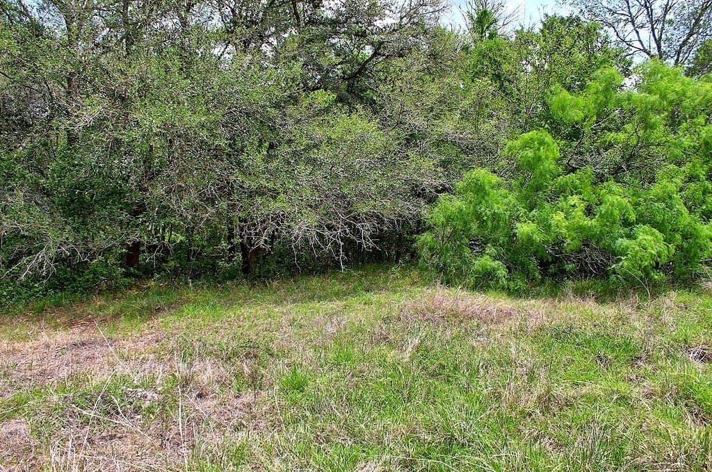 63.52 acres in Colorado County - photo 23